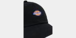 Immagine di Dickies | Hardwick