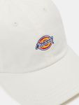 Immagine di Dickies | Hardwick