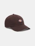 Picture of Dickies | Hardwick