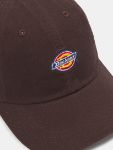 Picture of Dickies | Hardwick