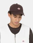 Picture of Dickies | Hardwick