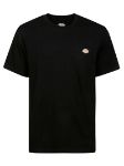 Picture of Dickies | Ss Mapleton Tshirt