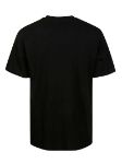 Picture of Dickies | Ss Mapleton Tshirt