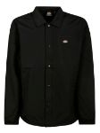 Immagine di Dickies | Oakport Coach