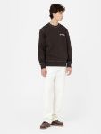 Immagine di Dickies | Beavertown