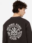 Immagine di Dickies | Beavertown