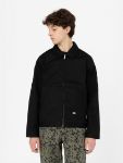 Immagine di Dickies | Eisenhower