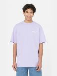 Immagine di Dickies | Oatfield Tee Ss