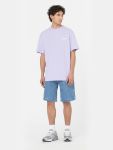 Immagine di Dickies | Oatfield Tee Ss
