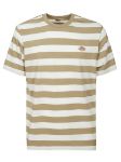 Picture of Dickies | Rivergrove
