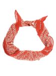 Picture of Ami | Scarf