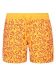 Picture of Vilebrequin | Swim Short