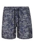 Picture of Vilebrequin | Swim Short
