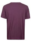 Picture of Massimo Alba | T-Shirt
