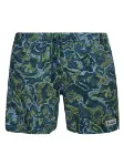 Picture of Cotopaxi | Brinco Short - Print