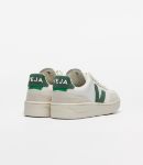 Picture of Veja | V-90
