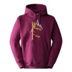 Immagine di The North Face | M Heavyweight Hoodie