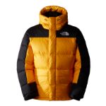 Immagine di The North Face | M Hmlyn Down Parka