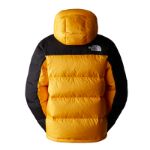 Immagine di The North Face | M Hmlyn Down Parka