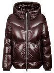 Picture of Woolrich | Aliquippa Short Puffer Jacket