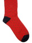 Immagine di Gallo | Socks