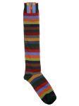 Immagine di Gallo | Socks