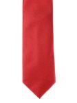 Picture of Errico Formicola | Tie
