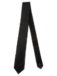 Picture of Errico Formicola | Tie