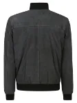 Picture of Valstar | Valstarino Padded Hst