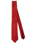 Picture of Errico Formicola | Tie