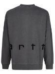 Immagine di Carhartt | Felt Script Sweat