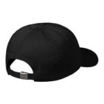 Picture of Carhartt | Madison Logo Cap