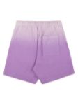 Immagine di Sporty&Rich | Serif Logo Embroidered Gym Shorts