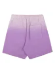 Picture of Sporty&Rich | Serif Logo Embroidered Gym Shorts
