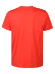 Picture of Vilebrequin | T-Shirt
