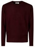 Immagine di Filippo De Laurentis | Crew Neck Sweater