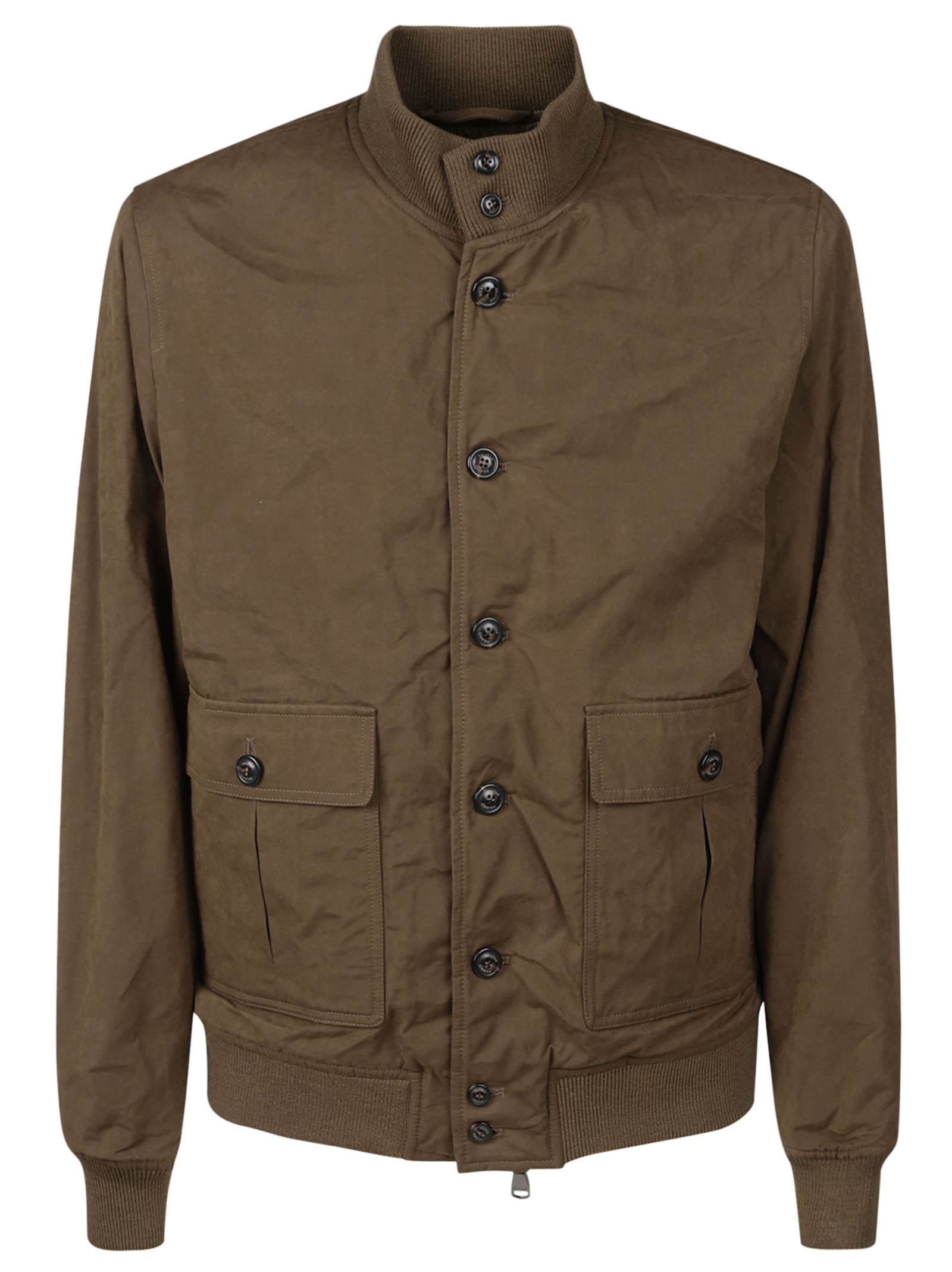 Valstarino cotton new arrivals