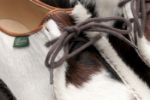 Picture of Paraboot | Michael