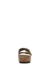 Picture of Birkenstock | Arizona Sfb Tabacco Brown