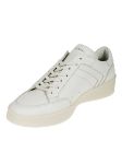 Picture of Canali | Sneakers