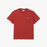 Immagine di Lacoste | Tshirt
