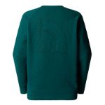 Immagine di The North Face | Logo Rmst Relaxed Crew