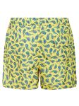 Picture of Kiton | Swimsuit