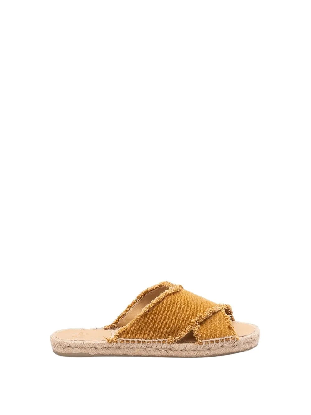 Picture of Castaner | Palmera 002