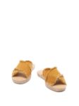 Picture of Castaner | Palmera 002