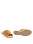 Picture of Castaner | Palmera 002