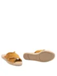 Picture of Castaner | Palmera 002