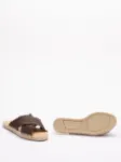 Picture of Castaner | Palmera 032