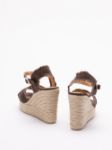 Picture of Castaner | Bromelia 8Ed 032