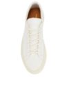Picture of Common Projects | Achilles In Canvas